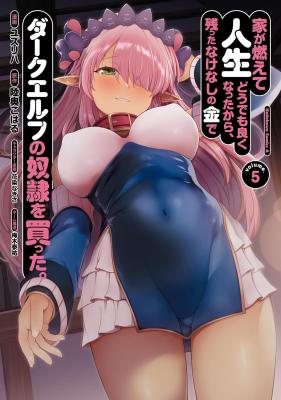 Cover of Ie ga Moete Jinsei dou demo Yoku Natta kara, Nokotta Nakenashi no Kane de Dark Elf no Dorei o Katta